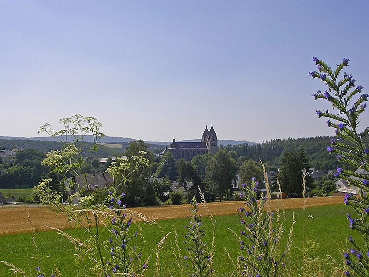Ravengiersburg Hunsrückdom von fern