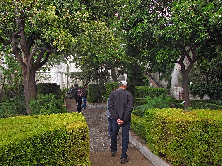 Salerno Botanischer Garten