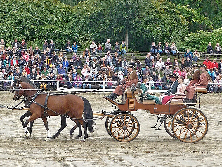 Dillenburg Hengstparade Fahrsport