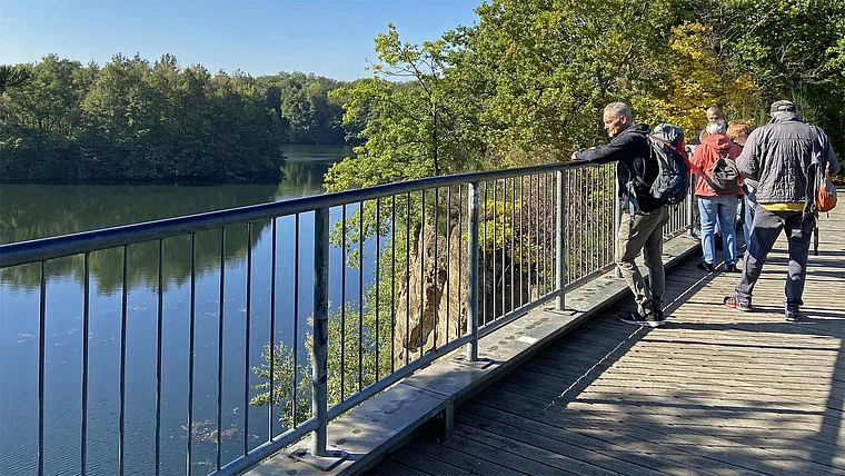 Mühlheim (Main) Vogelsberger See und Canyon Steg