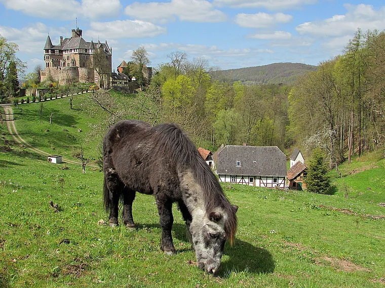 Witzenhausen Schloss Berlepsch von fern