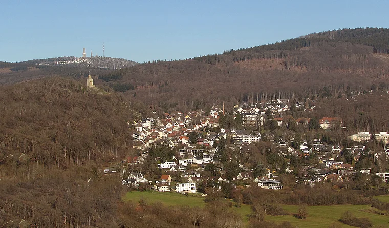 Königstein (Taunus) Falkenstein von oben