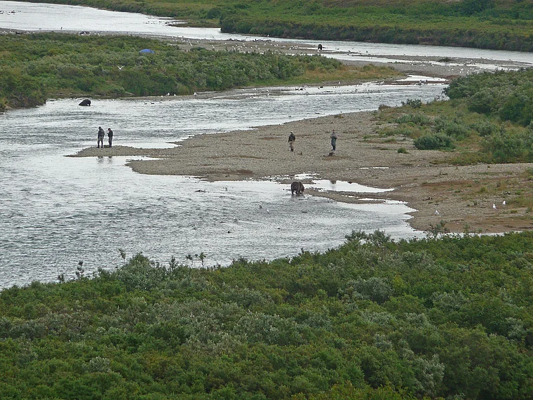 Alaska Katmai Bären und Angler von fern
