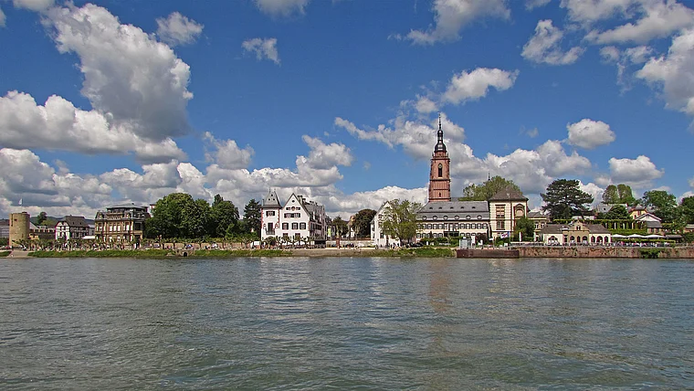 Eltville Silhouette vom Rhein