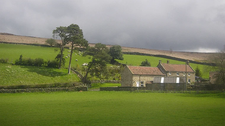 North York Moors Farm mit Schafen