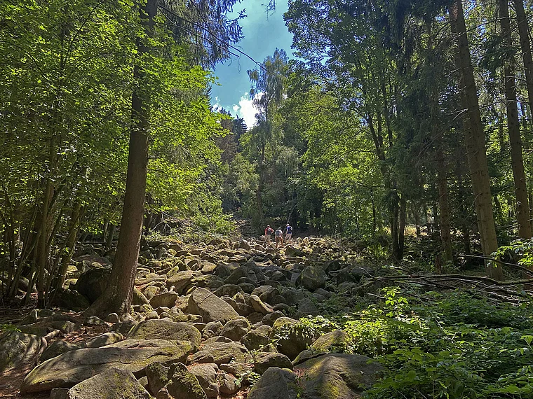 Fischbachtal Kleines Felsenmeer