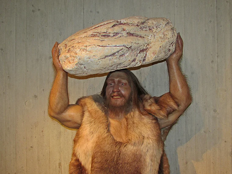Lebensgroße Nachbildung eines Neandertalers, der eine Steinplatte trägt