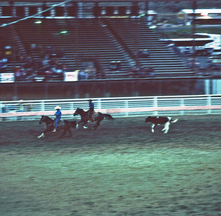 Cody Wyoming Rodeo