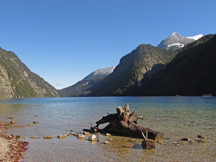 Königssee Ausblick von St. Bartholomä
