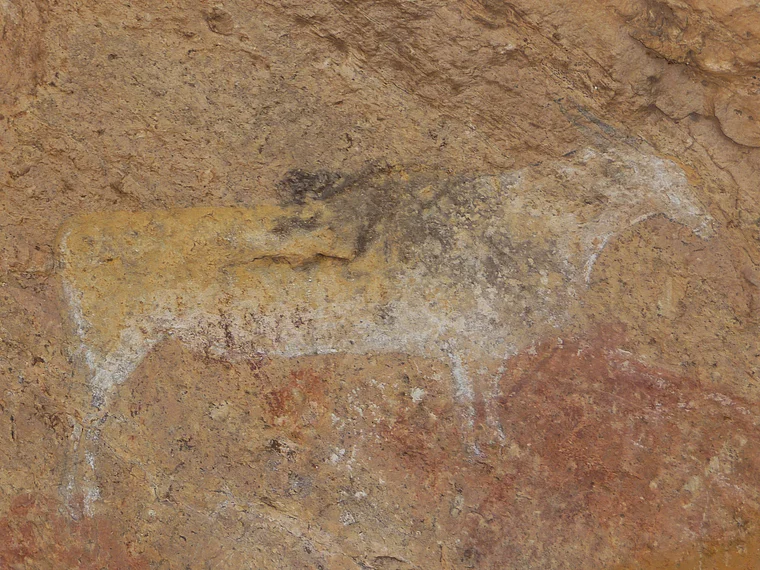 Südafrika Drakensberge Giant's Castle San Höhle Felszeichnung Elenantilope