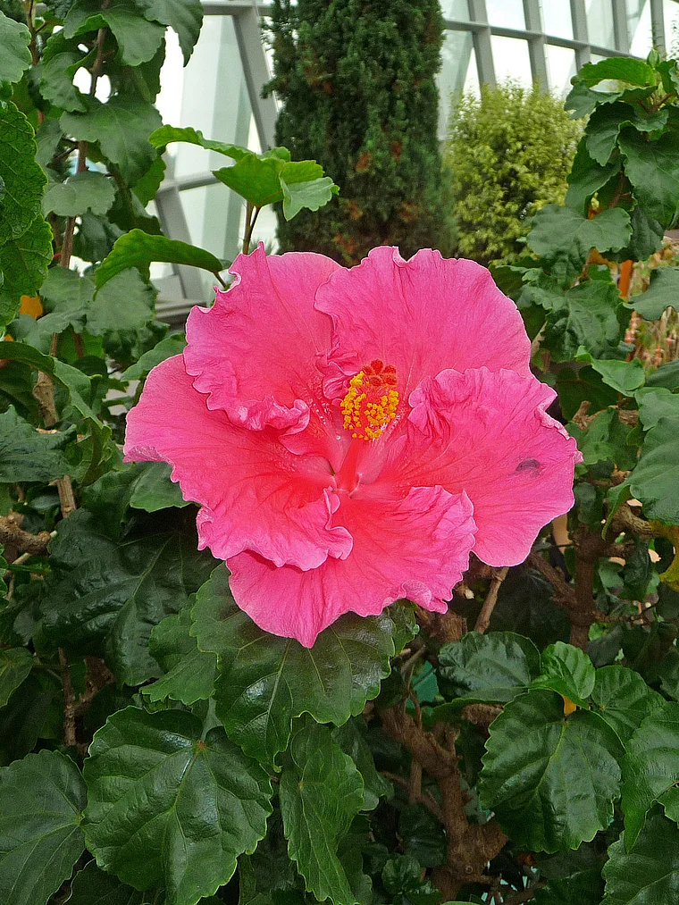 Singapur extra17