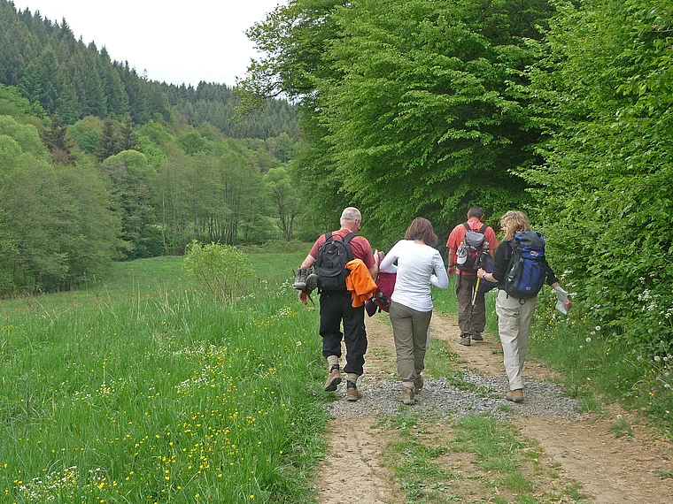 Vulkaneifel Lieserpfad Wandergruppe