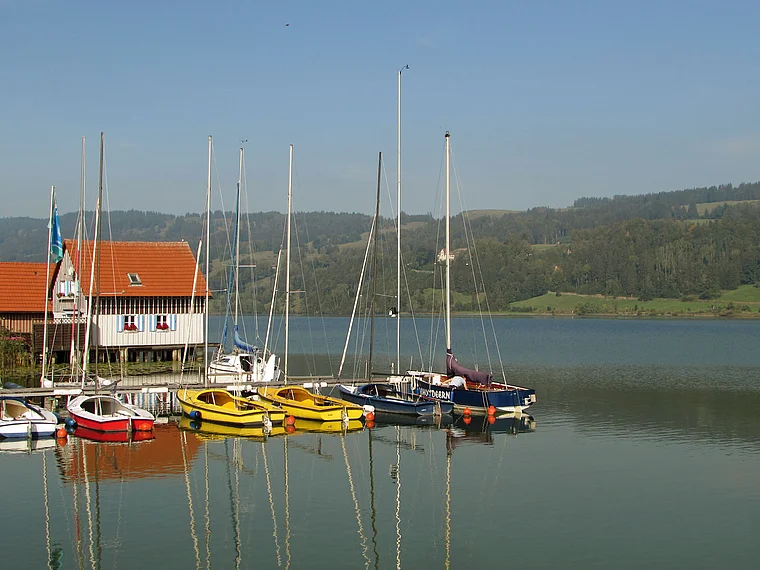 Immenstadt Großer Alpsee