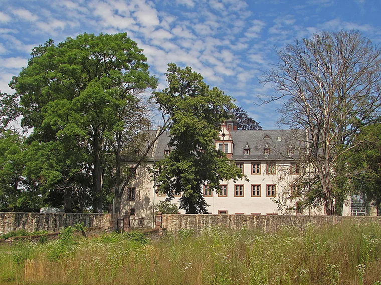 Babenhausen Schloss