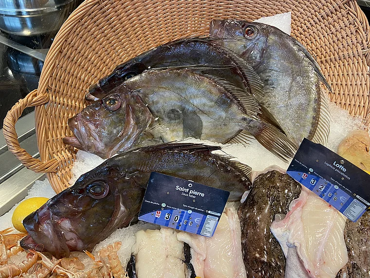 Boulogne-sur-Mer Poissonnerie Gourmande Theke