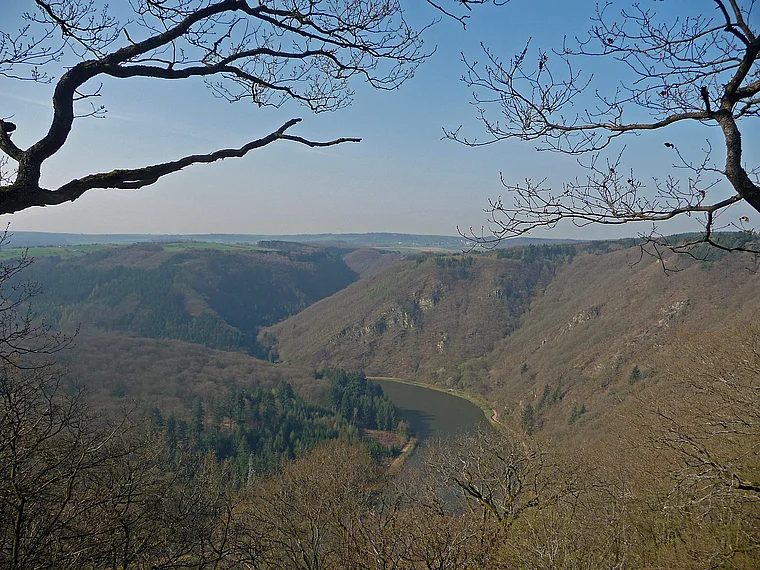 Saar-Hunsrück-Steig Blick auf Saarschleife