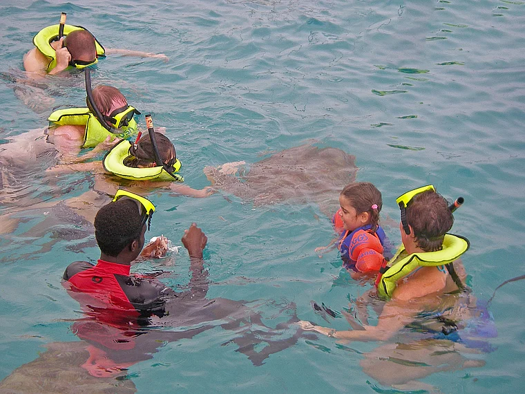 Barbados Turtle Bay Touristen mit Schildkröten nah