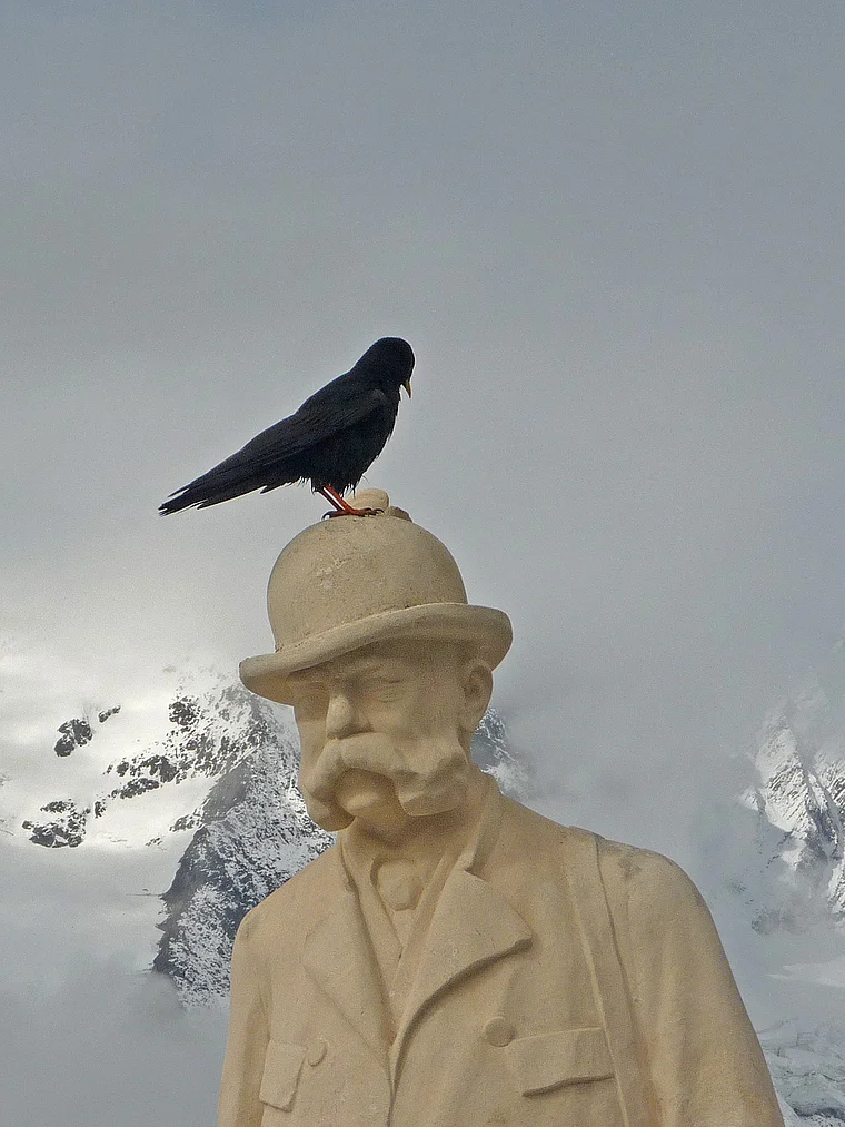 Großglockner Denkmal Kaiser Franz Joseph mit Rabe