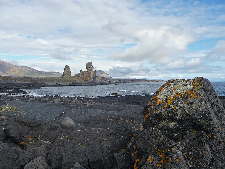 Island Arnarstapi Felsküste