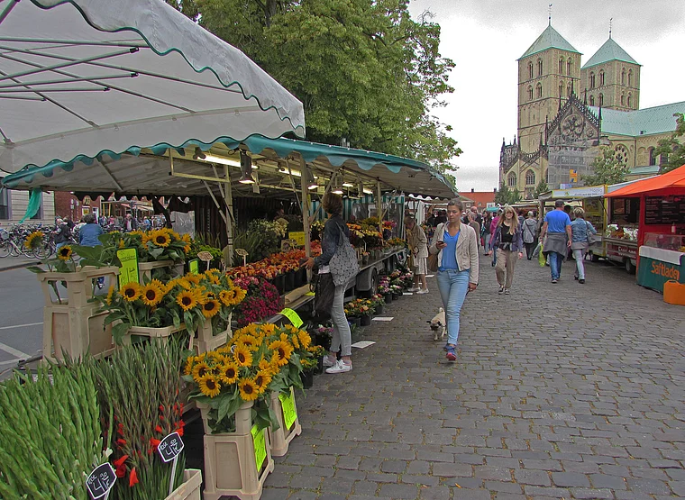 Münster Domplatz Wochenmarkt