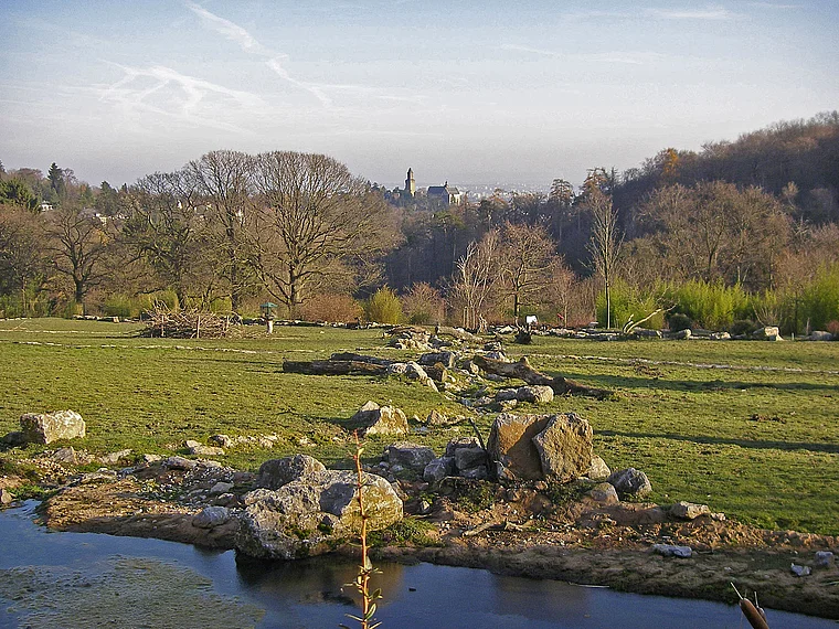 Kronberg Opelzoo