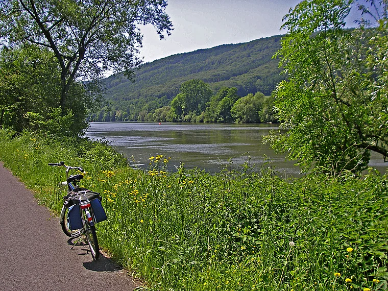 Main-Radweg bei Neustadt