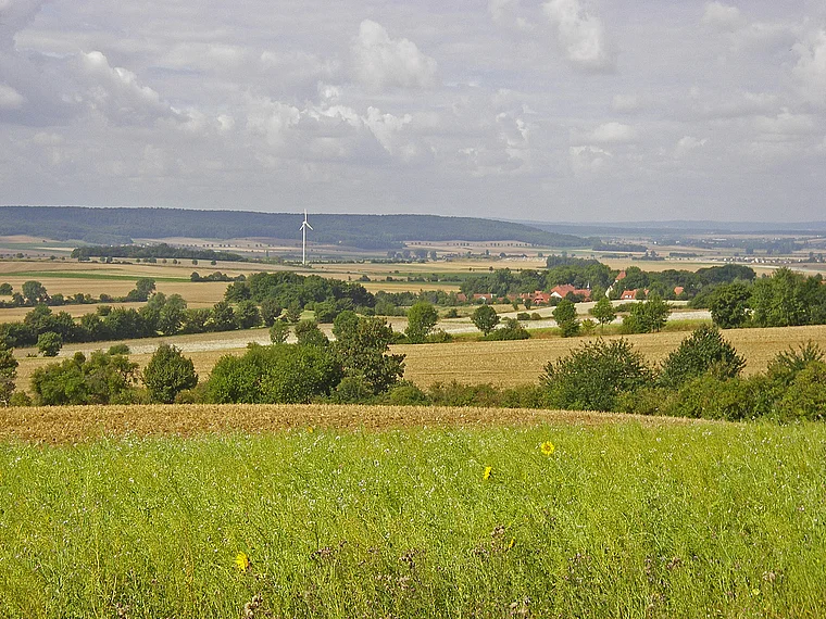 Elm Blick auf Asse