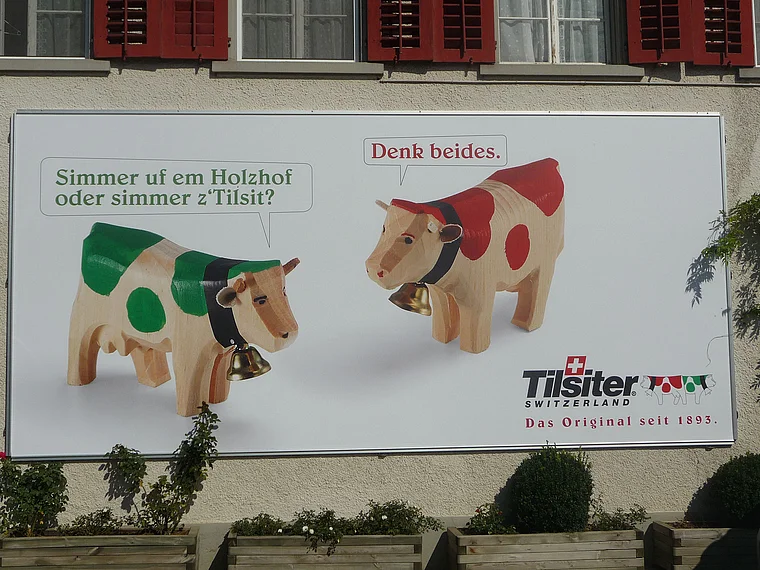 Thurgau Tilsit Werbeplakat mit Kühen