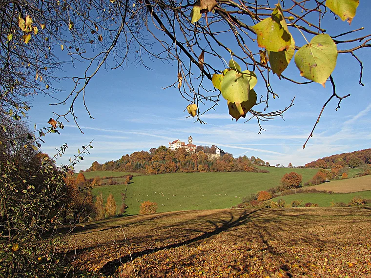 Ronneburg Burg von fern Herbst