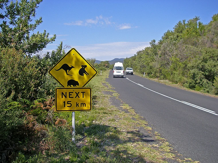 Australien Wilsons Prom Warnschild vor Tieren an der Straße