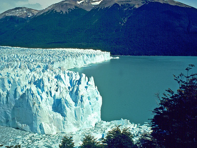 Patagonien Moreno Gletscher nah