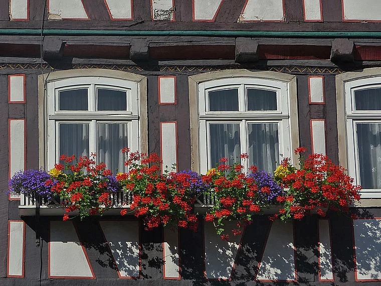 Lauterbach Marktplatz Fachwerk Detail
