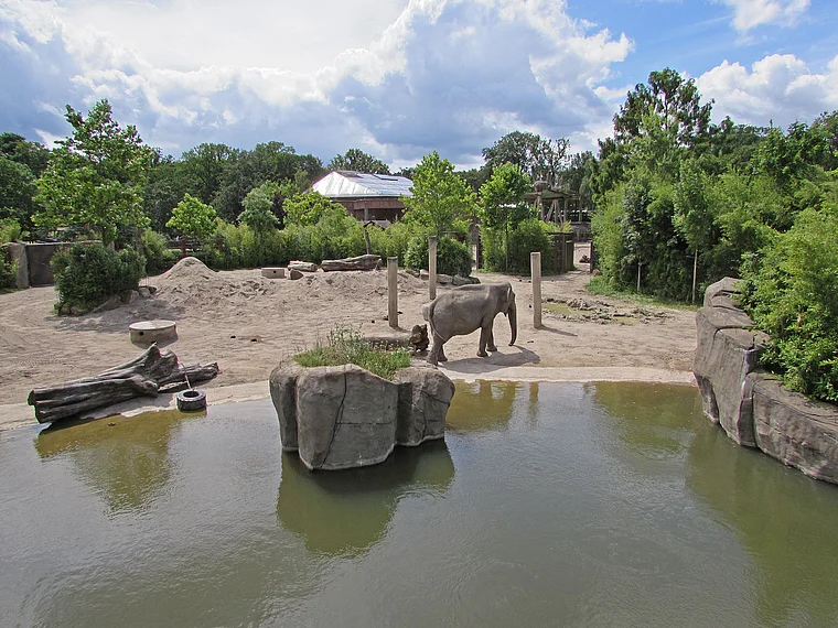 Münster Zoo Elefantengehege