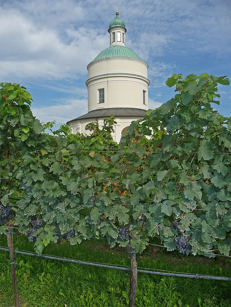 Weinviertel Mannersdorf Rochuskapelle Weinberg