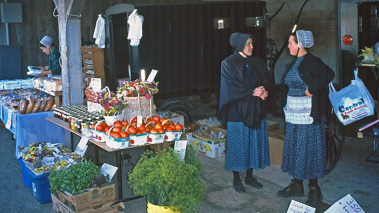 Waterloo Ontario Markt Mennoniten