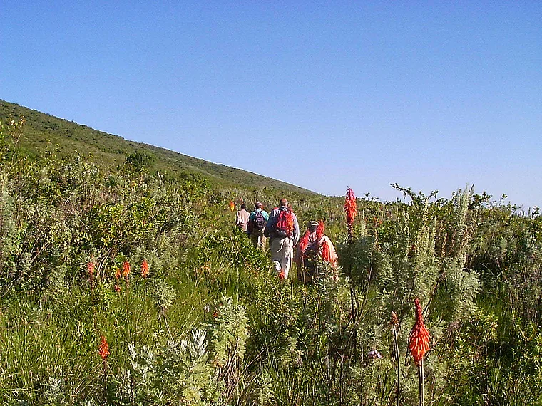 Tansania Ngorongoro Touristen