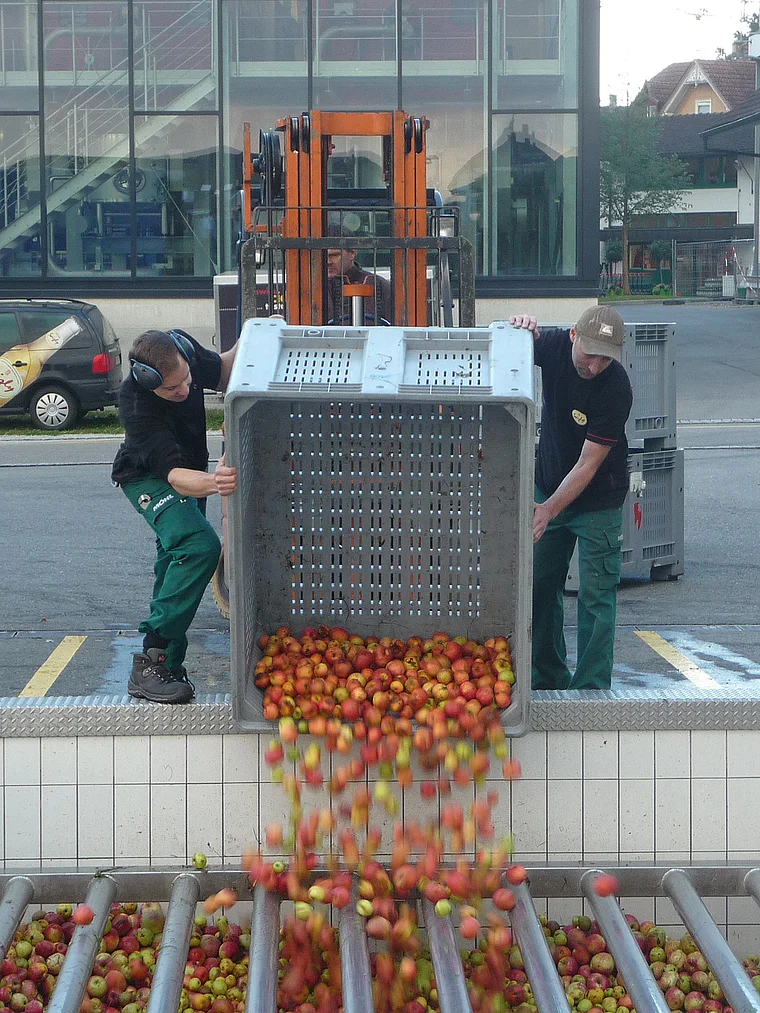 Thurgau Arbon Apfelkelterei Möhl Äpfel werden entladen