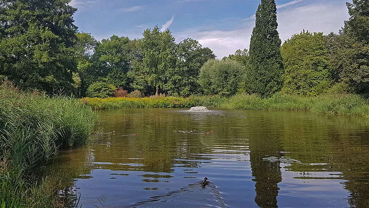Vellmar Ahnepark