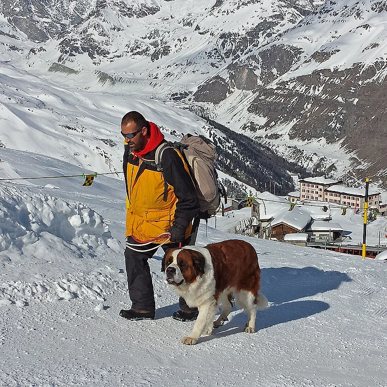 Zermatt Bergwacht Bernhardiner
