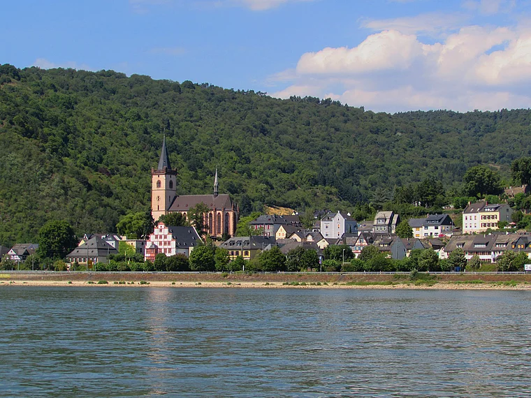Lorch vom Rhein
