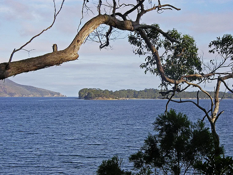 Tasmanien Port Arthur Blick über Bucht