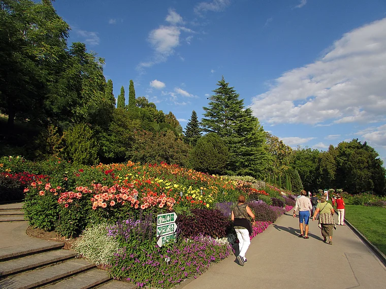 Insel Mainau Dahlienbeet