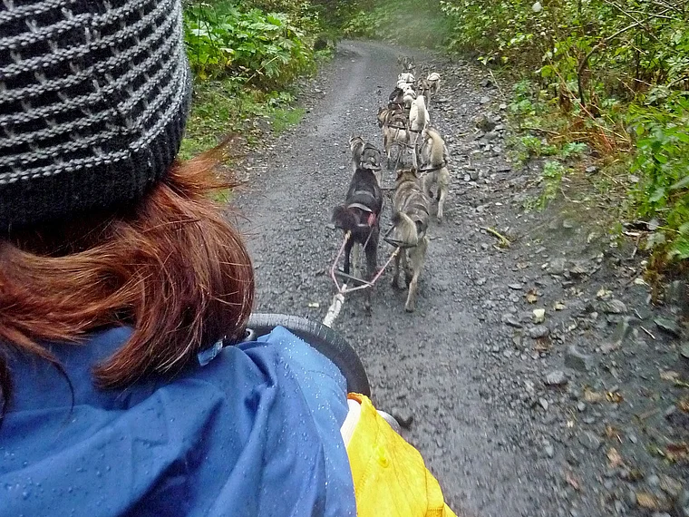 Alaska Seward Iditarod Sled Dog Tours Tourstart