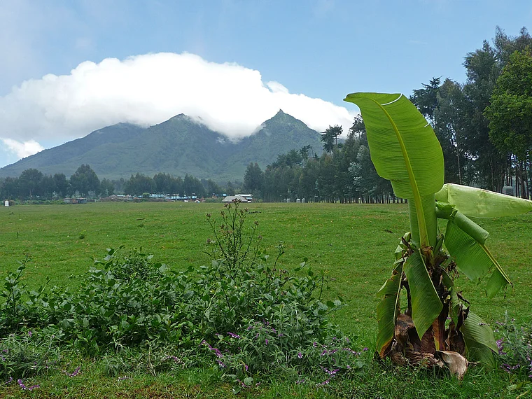 Ruanda Virunga Vulkan Sabyinyo