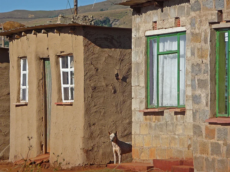 Südafrika Drakensberge Cathedral Peak Mhlawazini Häuser mit Hund nah