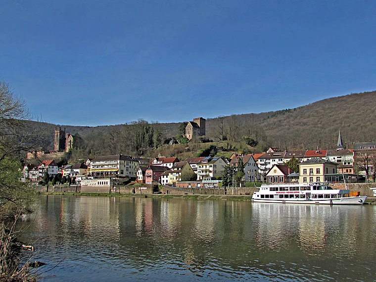 Neckarsteinach total