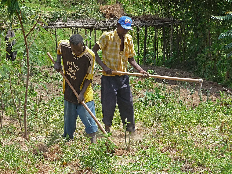 Ruanda Agroforst Projekt 2 Arbeiter