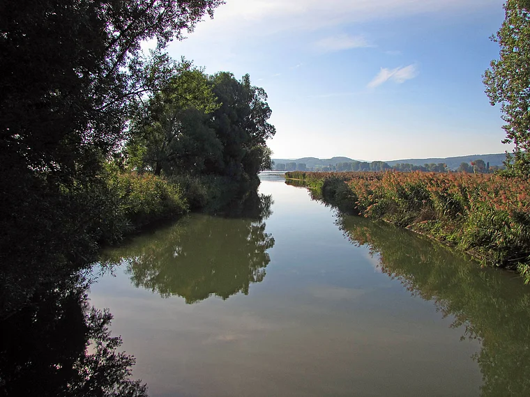 Fluss Aach Hegau