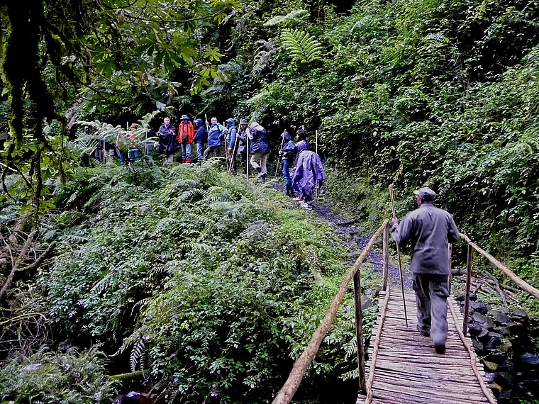Ruanda Nyungwe National Park Steg mit Wandern