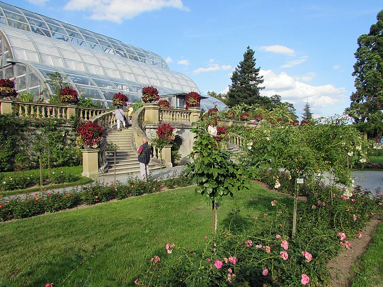 Insel Mainau Rosengarten